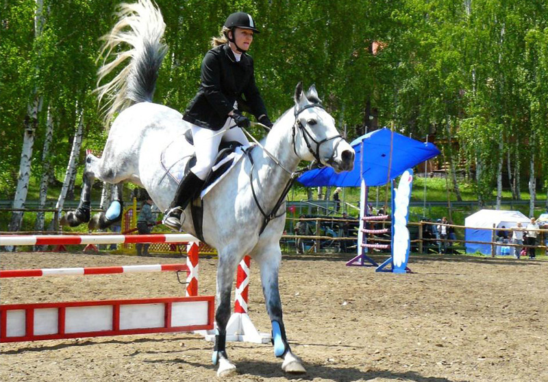 Horse екатеринбург. КСК белая лошадь Кадниково. КСК белая лошадь Магнитогорск. КСК белая лошадь Екатеринбург. Конный клуб белая лошадь Магнитогорск.